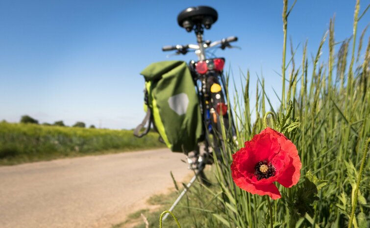 Feldweg mit Mohnblume und Fahrrad im Hintergrund