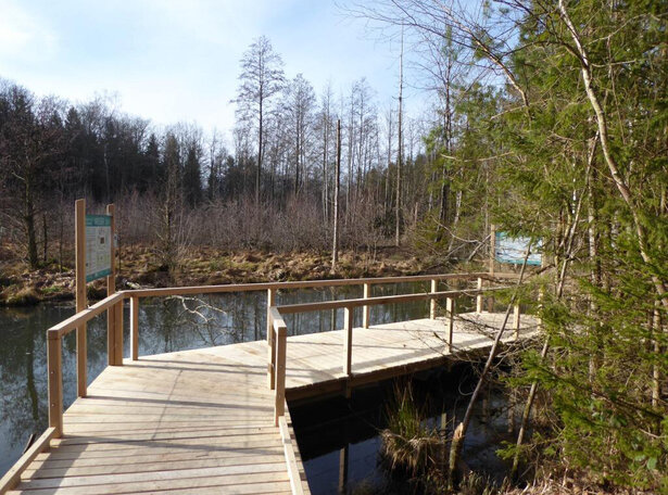 Ein Holzsteg auf einem Teich.