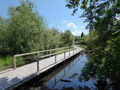 Ein Holzsteg führt über einen Teich.