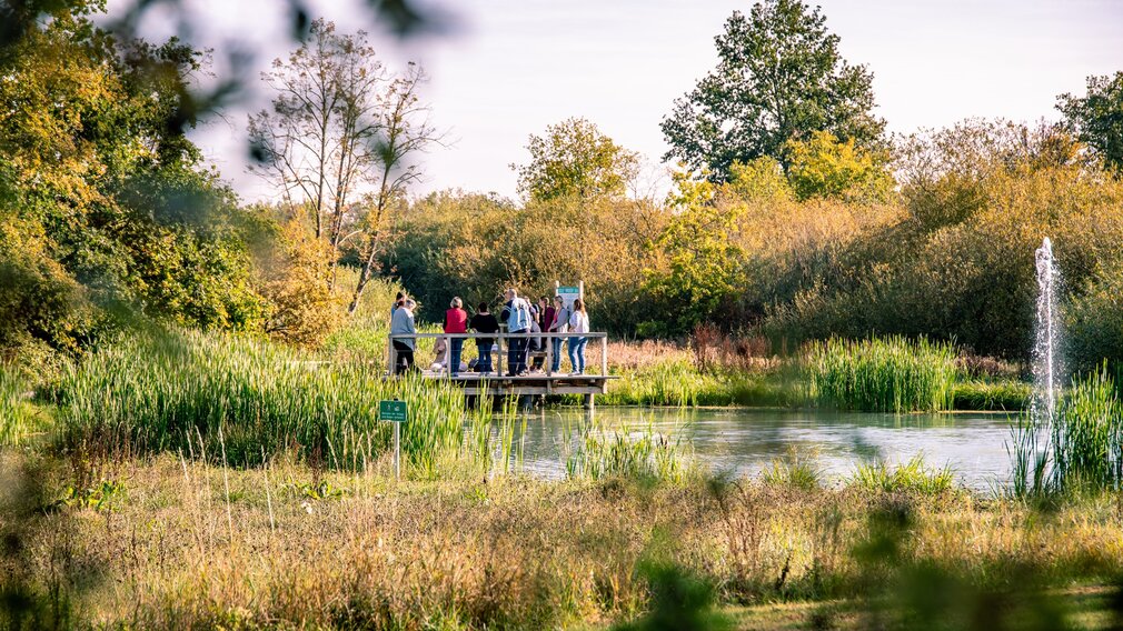 Menschen stehen auf einem Holzsteg an einem Teich.