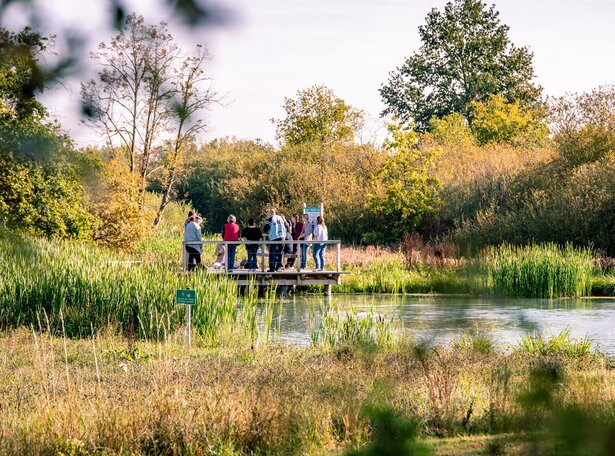 Menschen stehen auf einem Holzsteg an einem Teich.