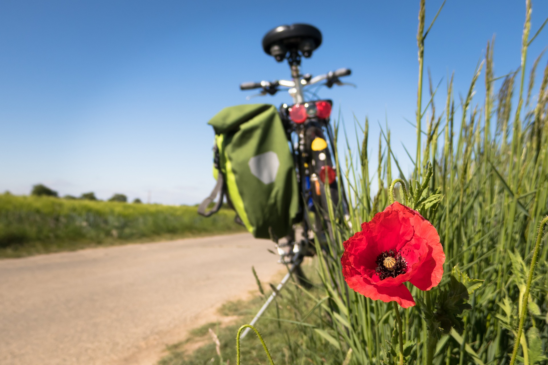 Feldweg mit Mohnblume und Fahrrad im Hintergrund